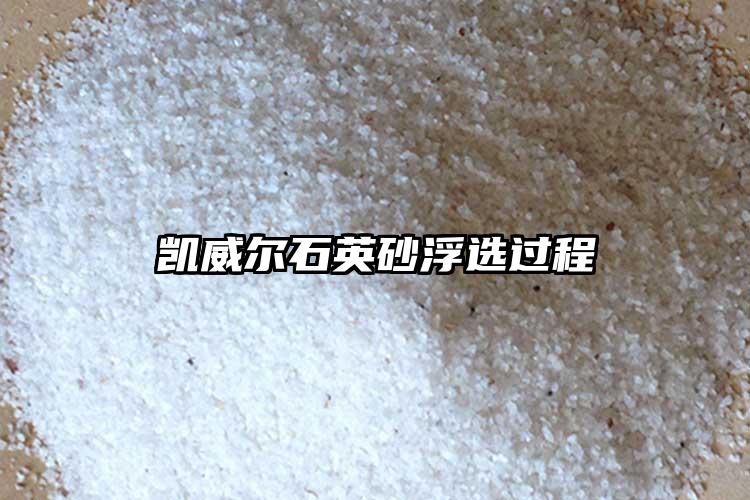生产厂家草莓视频污在线下载砂浮选过程